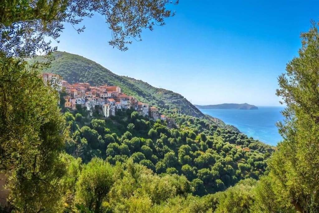 La Villa Di Nonna Angela Pisciotta Εξωτερικό φωτογραφία
