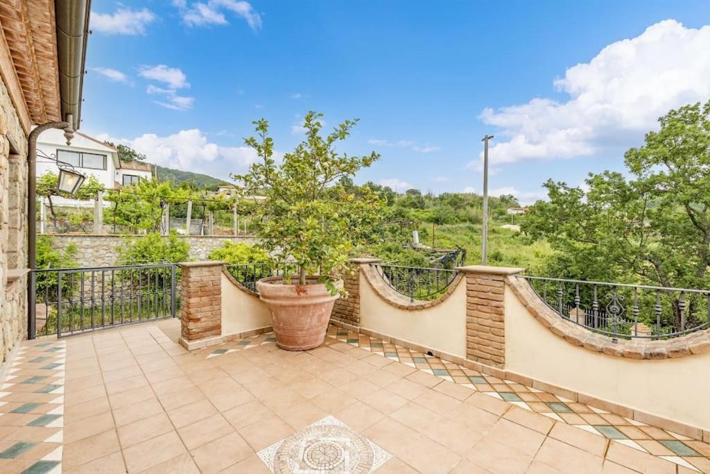 La Villa Di Nonna Angela Pisciotta Εξωτερικό φωτογραφία
